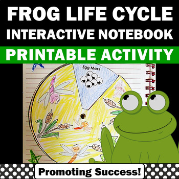 Preview of Frog Life Cycle Craft Fun Science Activities 1st 2nd Grade Coloring Sheet Page