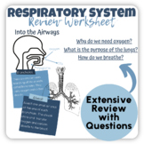 FREE Grade 6 Respiratory System Worksheet