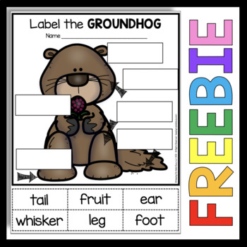 Preview of FREE Groundhog Day Activity - Groundhog's Day Groundhogs - Labeling Worksheets