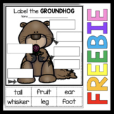 FREE Groundhog Day Activity - Groundhog's Day Groundhogs -