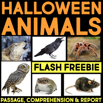 Preview of FREE Halloween Animals Nonfiction Reading Passage Comprehension Activity October