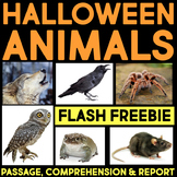 FREE Halloween Animals Nonfiction Reading Passage Comprehe