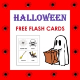 FREE Halloween Vocabulary Flash Cards in English