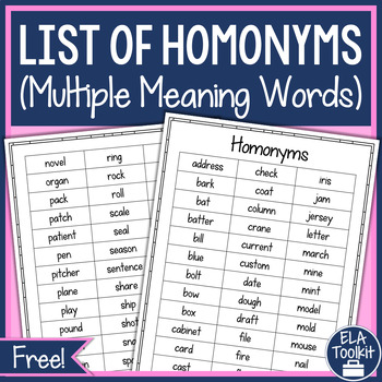 Preview of FREE Homonyms - Homographs & Homophones - Vocabulary List Anchor Chart Poster