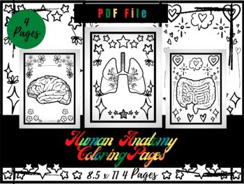 Download Human Anatomy Coloring Pages Worksheets Teaching Resources Tpt