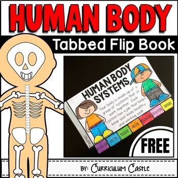 Preview of FREE Human Body Systems Tabbed Flip Book