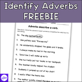 FREE Identifying Adverbs Review Worksheet Grammar Parts of Speech