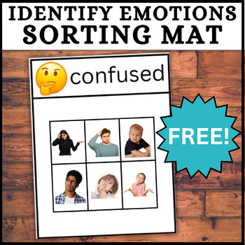 Preview of FREE Identifying Emotions Sorting Mat Activity- Confused Feeling - Real Photos!