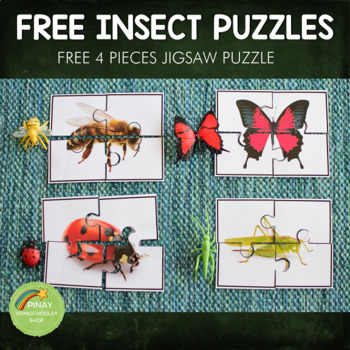 Preview of FREE Insect/Arachnid Toob Printable Puzzle
