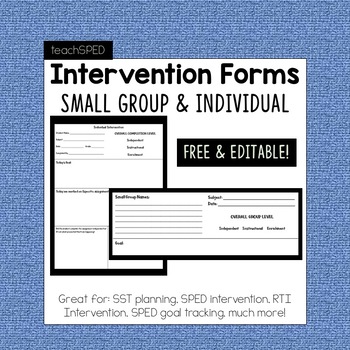 Preview of FREE Intervention Forms (Small group & Individual)