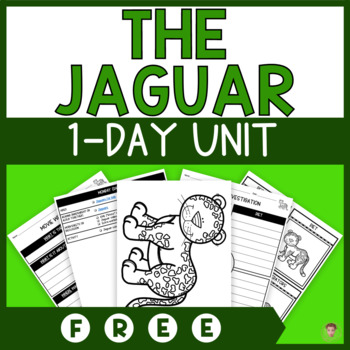 Preview of FREE Jaguar Unit Study | Lesson Plan, Videos, Activities | Rainforest Animals