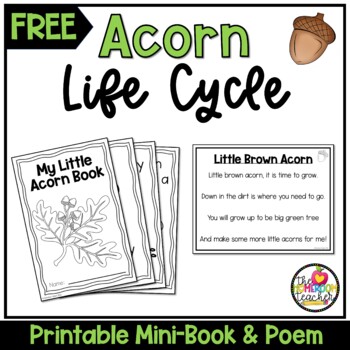 Preview of FREE Kindergarten Plant Life Cycle Acorn Mini-Book and Poem