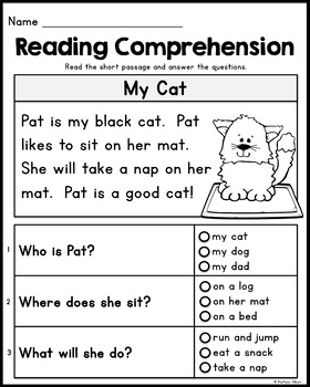 FREE Kindergarten Reading Comprehension Passages - Set 2 by Kaitlynn Albani