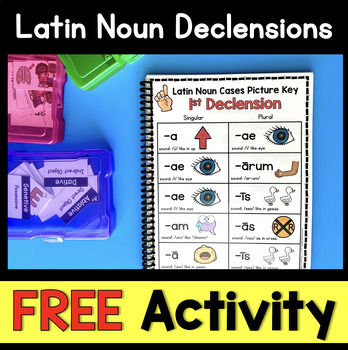 Preview of FREE Latin Noun Declension Worksheets Posters Flashcards Cycle 1 Declensions