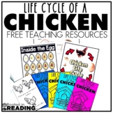 FREE Life Cycle of a Chicken Visual with Poster and Nonfic