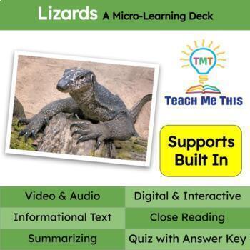 Preview of FREE Lizards Informational Text Reading Passage and Activities