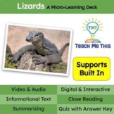 FREE Lizards Informational Text Reading Passage and Activities