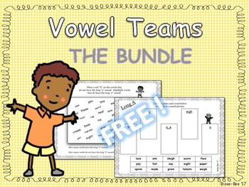 Preview of FREE Long Vowels, Vowel Teams, Vowel Patterns, Advanced Code, NO PREP