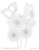 FREE - MAY Coloring Sheets ~ Butterflies