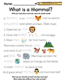 FREE Mammal Worksheets for PreK and Kindergarten (9 Pages)