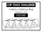 FREE Math Cup Stack Challenge Numeral Recognition