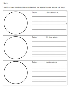 Preview of FREE!  Microscope Observations / Data Worksheet