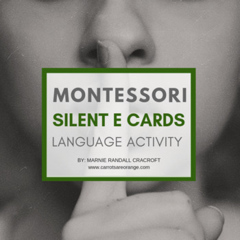 montessori silent journey cards