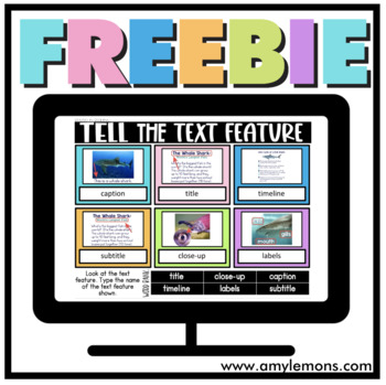 Preview of FREE Nonfiction Text Feature Digital and Printable Activity
