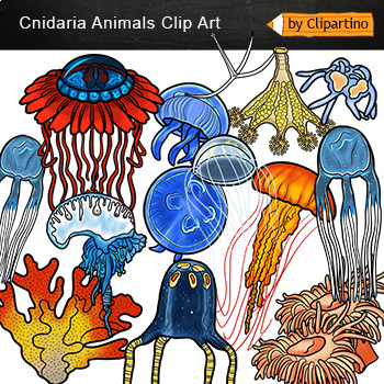 Preview of jellyfish Free Ocean animals ClipArt / Commercial use /sea animals