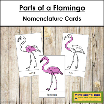 Preview of FREE Parts of a Flamingo 3-Part Cards - Montessori Nomenclature