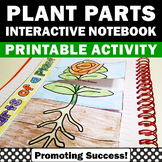 FREE Parts of a Plant Cut and Paste Science Summer School 