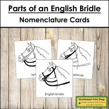 Preview of FREE Parts of an English Bridle 3-Part Cards - Montessori Nomenclature