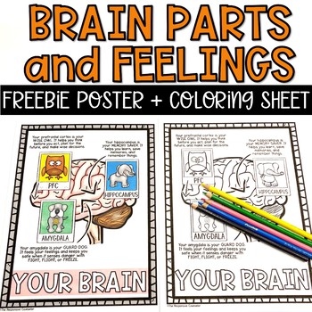 Preview of FREE Parts of the Brain Feelings Poster and Coloring Sheet