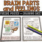 FREE Parts of the Brain Feelings Poster and Coloring Sheet