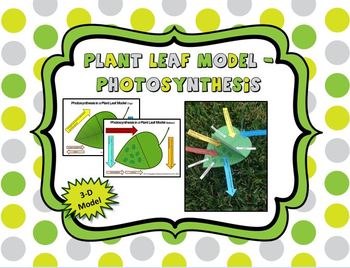 Preview of FREE - Photosynthesis 3-D Leaf Model (Color and B&W)