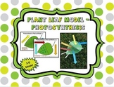 FREE - Photosynthesis 3-D Leaf Model (Color and B&W)