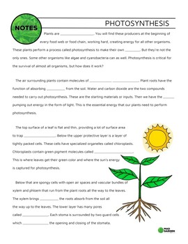 Preview of FREE Photosynthesis Guided Notes | Pairs with YT Video | Answer Key