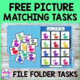 FREE Picture Matching File Folder Activites