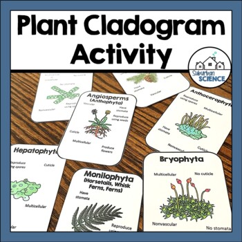 Preview of FREE Plant Cladogram Activity - Classifying Plants and Plant Kingdom