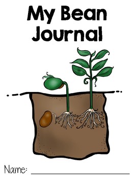 Preview of FREE Plant Growth and Change - My Bean Journal