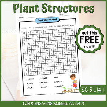 Preview of FREE Plant Structures and Functions Word Search Fun Science Activity