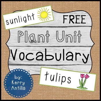 Preview of Plant Vocabulary *FREE*