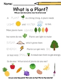 FREE Plants Worksheets for Preschool (5 pages)