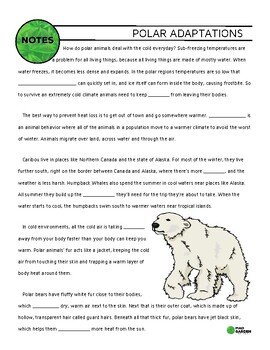 Preview of FREE Polar Adaptations Guided Notes | Pairs with YT Video | Answer Key