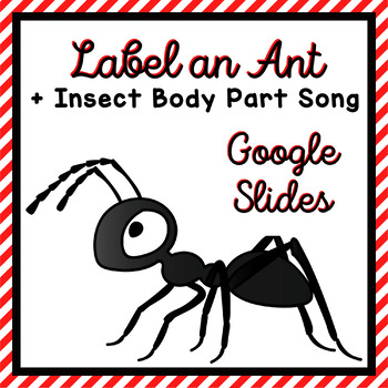 Preview of FREE Pre-K and Kindergarten Science Insect Labeling and Song on Google Slides