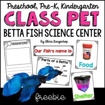 Preview of FREE Preschool Class Pet Betta Fish Science Center