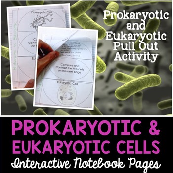 Preview of FREE - Prokaryotic & Eukaryotic Cells Interactive Notebook Pages - Paper INB