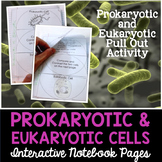 FREE - Prokaryotic & Eukaryotic Cells Interactive Notebook