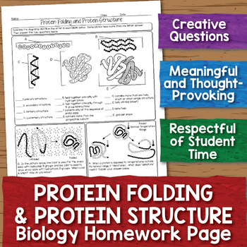 Preview of FREE Protein Structure Biochemistry Homework Page