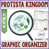 FREE Protista Kingdom Graphic Organizer - Protists, Algae,